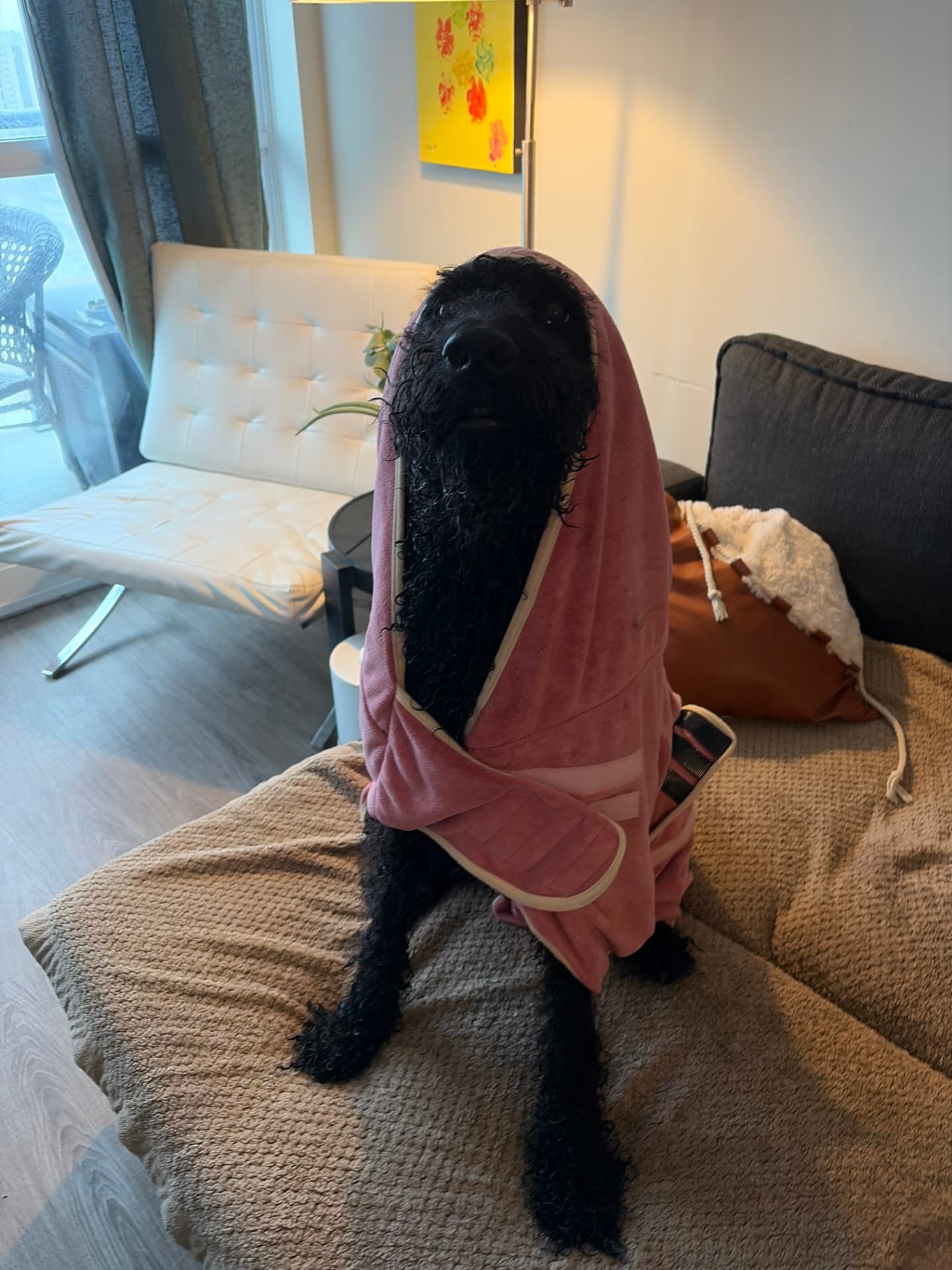 Ellie drying off in her robe