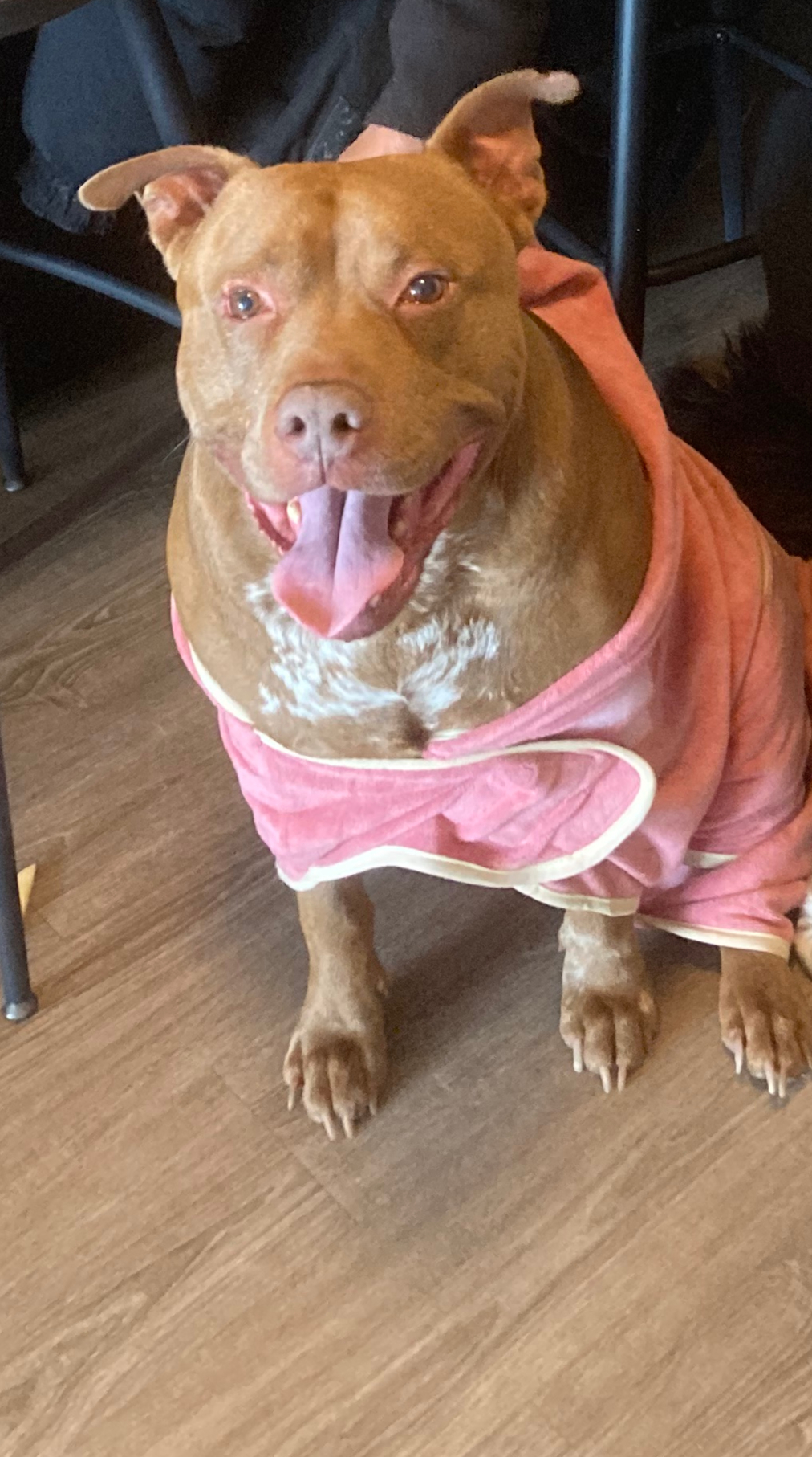 Kobe smiling in a pink towel robe