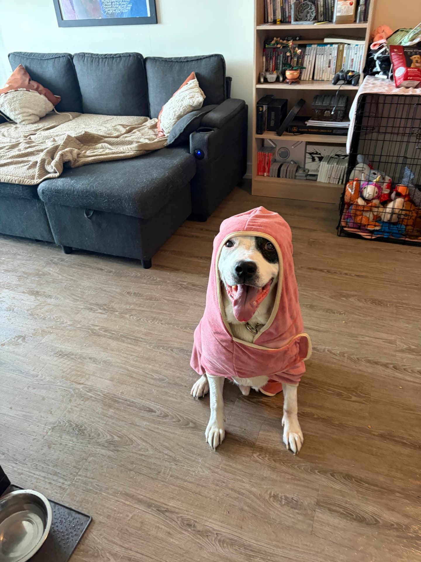 King in a pink robe after his groom