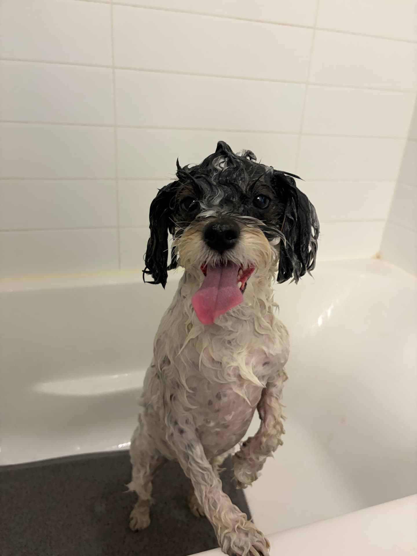 Gigi grinning during her bath